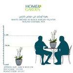 WHITE ORCHID IN BLACK KARLIJN PLANTER ROUND CERAMIC POT - أوركيد أبيض في حوض سيراميك دائري أسود كارلين