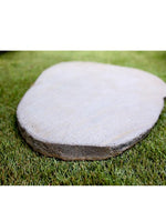 NATURAL STEPPING STONE - احجار المشاة