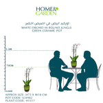 WHITE ORCHID IN ROUND JUNGLE GREEN CERAMIC POT - أوركيد أبيض في حوض سيراميك دائري بلون الأخضر