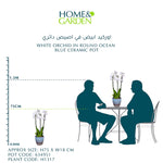 WHITE ORCHID IN ROUND OCEAN BLUE CERAMIC POT - أوركيد أبيض في حوض سيراميك دائري بلون الأزرق